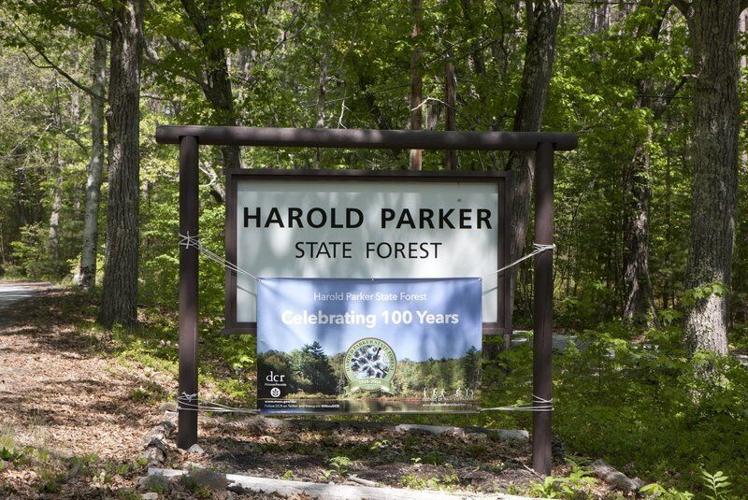 Andover Drowning: Boy died after incident at Field Pond in Andover, MA